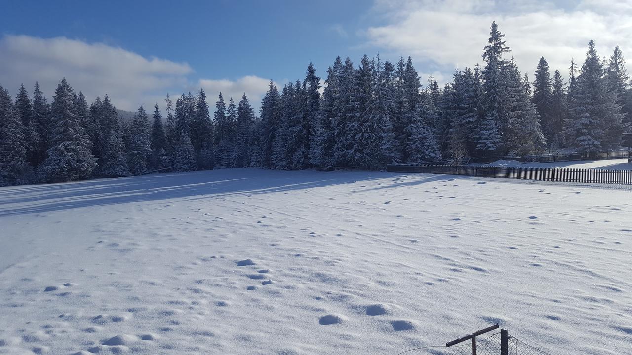 Bed and Breakfast Lesne Zacisze Murzasichle Exterior foto